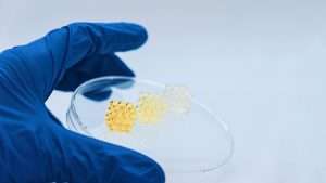 مهندسی بافت و فناوری نانو| شرکت کیان نانو کارنو